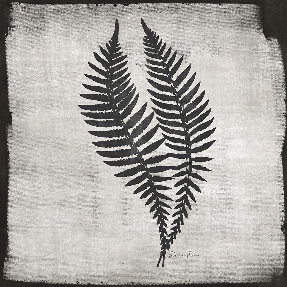 Noir Fern 2 art print by Denise Brown for $57.95 CAD