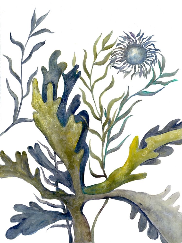 Underwater Spectacle 2 art print by Doris Charest for $57.95 CAD