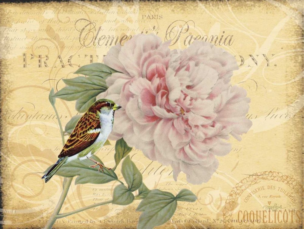 Friend Peony art print by Diane Stimson for $57.95 CAD