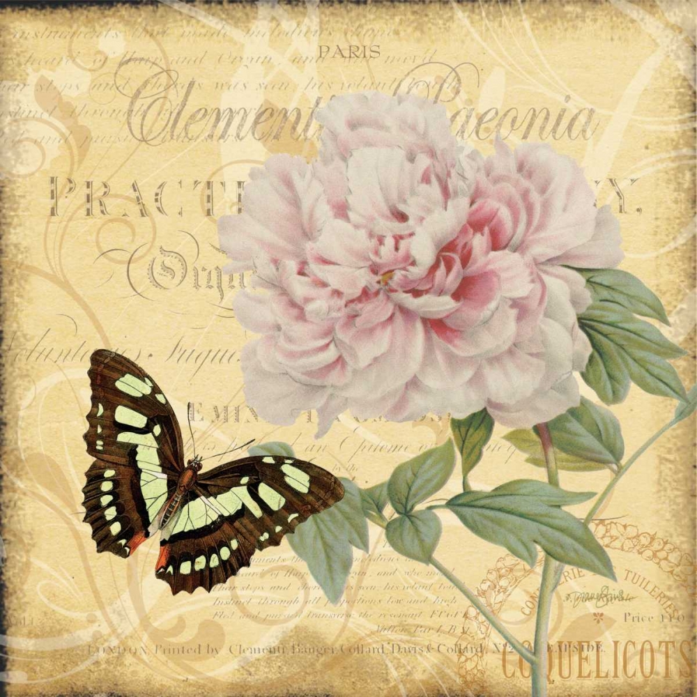 Friend Peony art print by Diane Stimson for $57.95 CAD