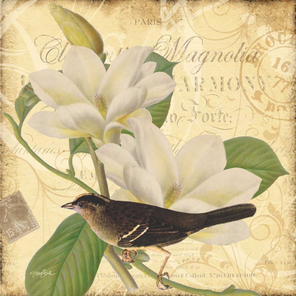Bird Magnolia art print by Diane Stimson for $57.95 CAD