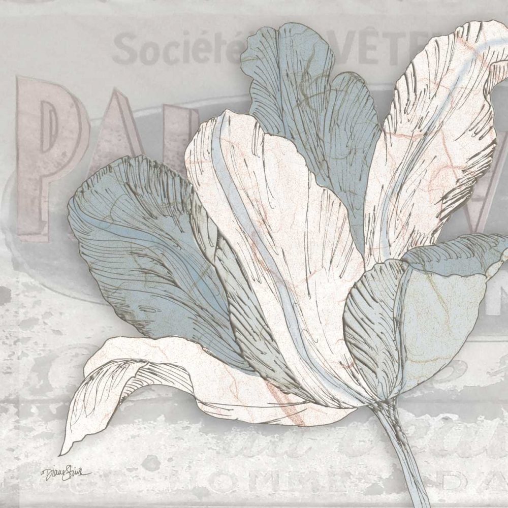 Saumur Fleur 1 art print by Diane Stimson for $57.95 CAD
