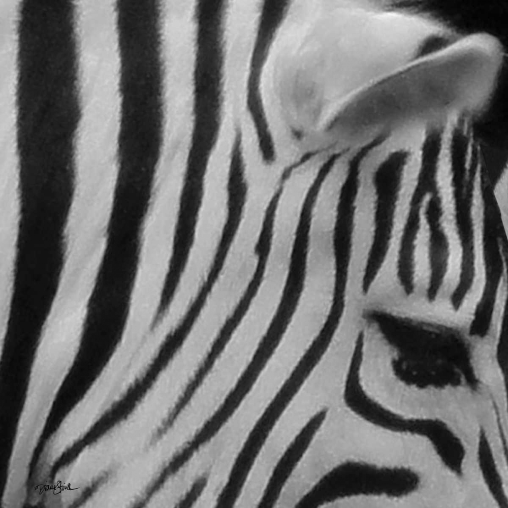 IntoThe Wild 4 art print by Diane Stimson for $57.95 CAD