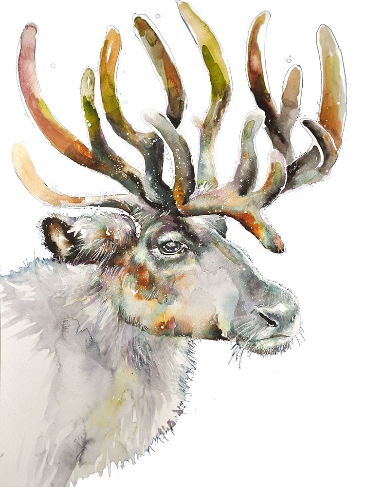 Moose on White art print by Emma Catherine Debs for $57.95 CAD