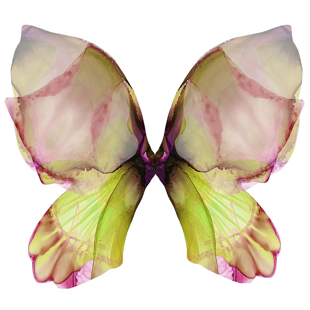 Floral Butterfly 2 art print by Emma Catherine Debs for $57.95 CAD