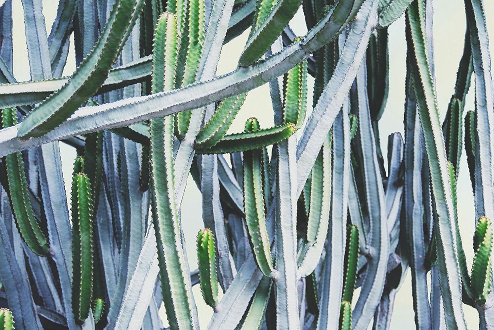 Green Crush I art print by Elizabeth Urquhart for $57.95 CAD