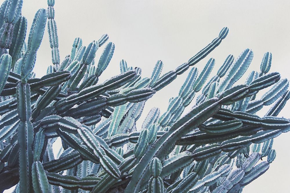 Green Crush VII art print by Elizabeth Urquhart for $57.95 CAD
