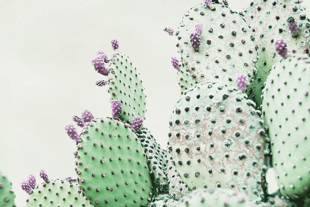 Green Crush 6 art print by Elizabeth Urquhart for $57.95 CAD