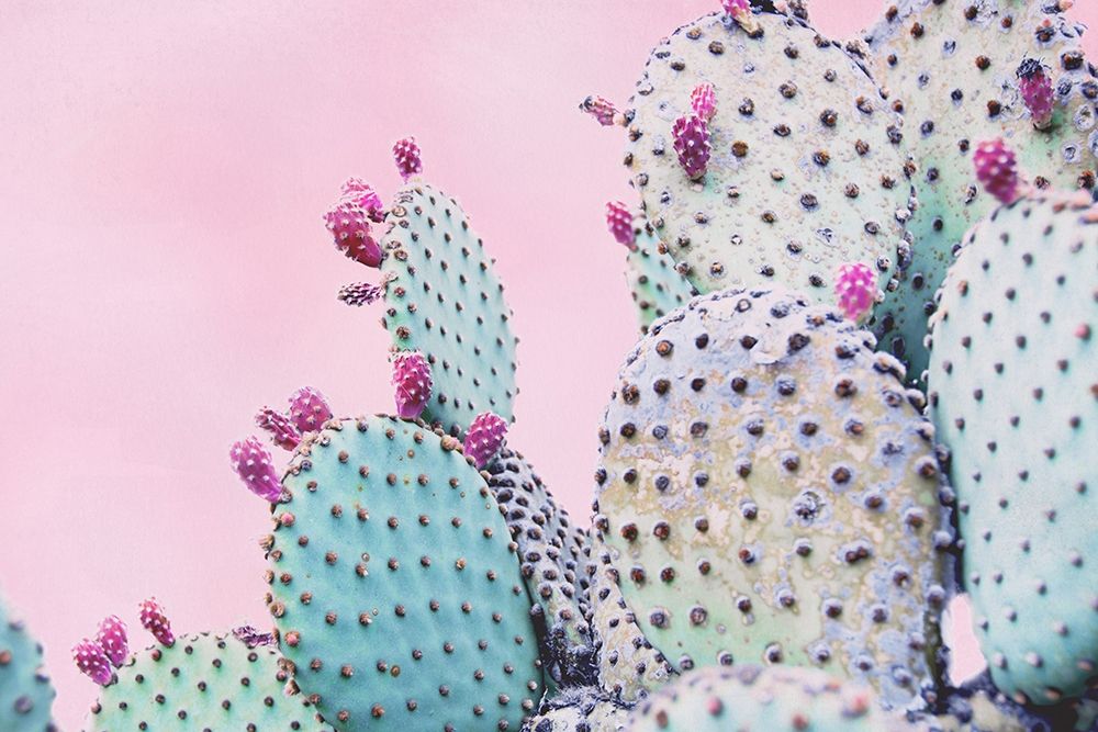 Pink Crush VI art print by Elizabeth Urquhart for $57.95 CAD