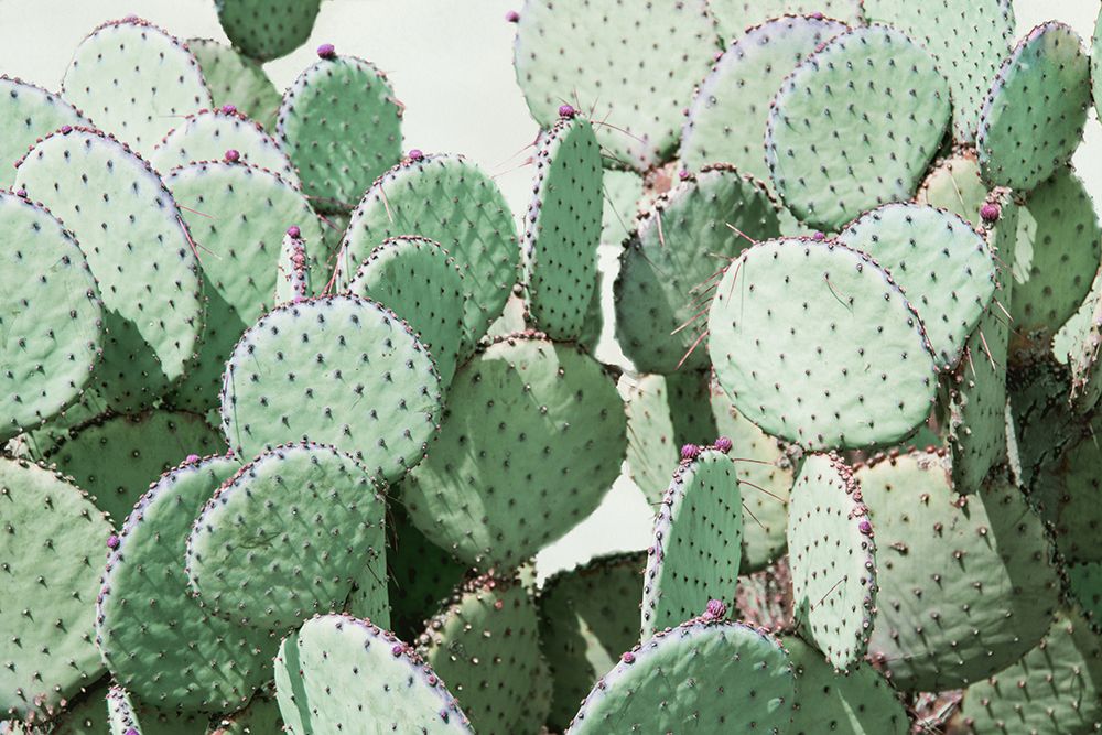 Green Crush 8 art print by Elizabeth Urquhart for $57.95 CAD