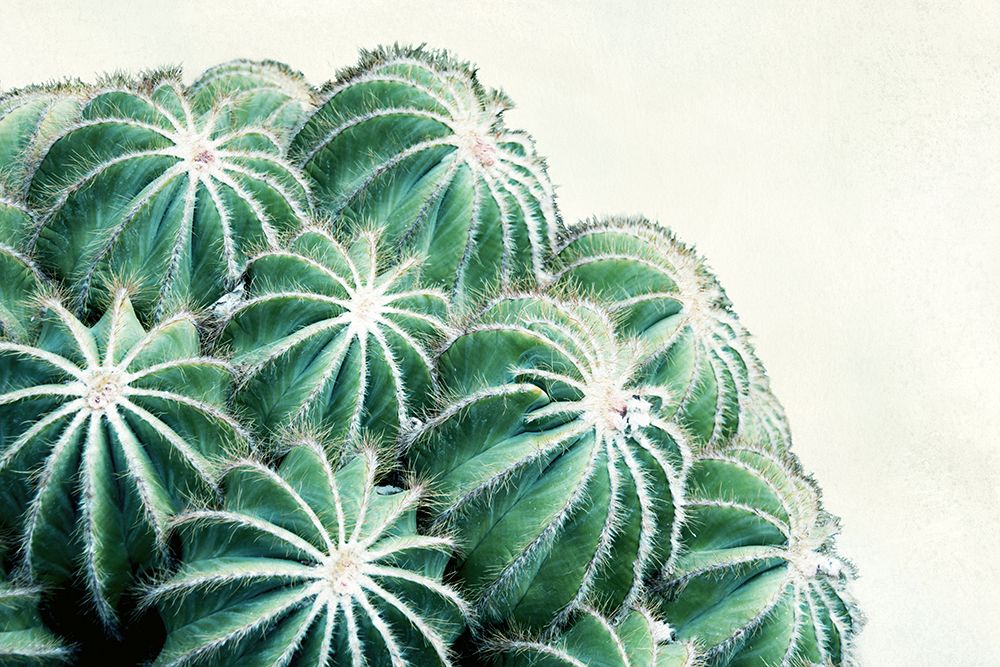 Green Crush 2 art print by Elizabeth Urquhart for $57.95 CAD