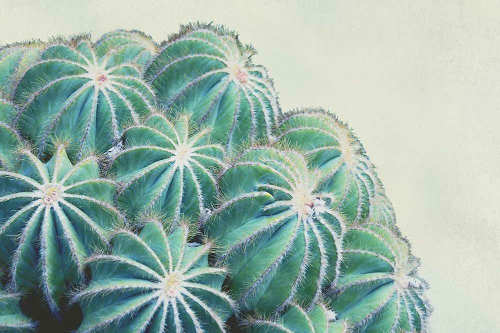 Green Crush II art print by Elizabeth Urquhart for $57.95 CAD