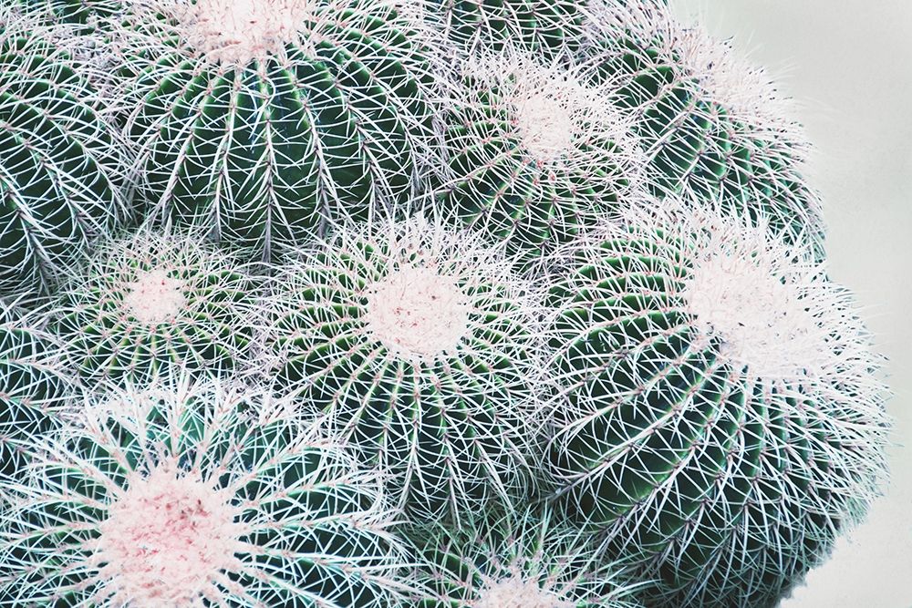 Green Crush III art print by Elizabeth Urquhart for $57.95 CAD