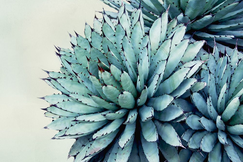 Green Crush IX art print by Elizabeth Urquhart for $57.95 CAD