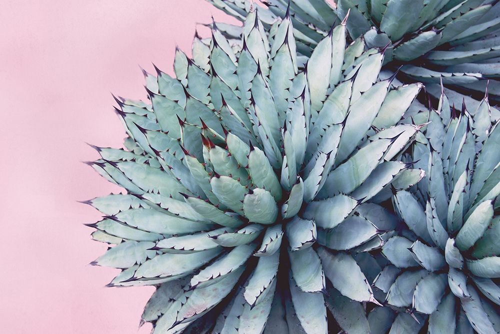 Pink Crush IX art print by Elizabeth Urquhart for $57.95 CAD