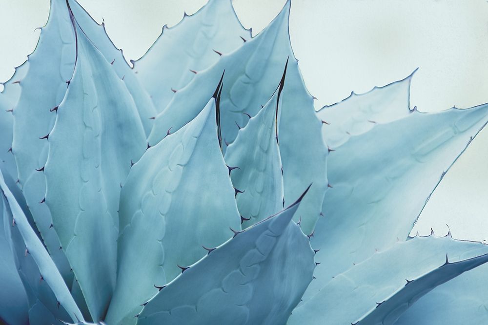 Green Crush V art print by Elizabeth Urquhart for $57.95 CAD