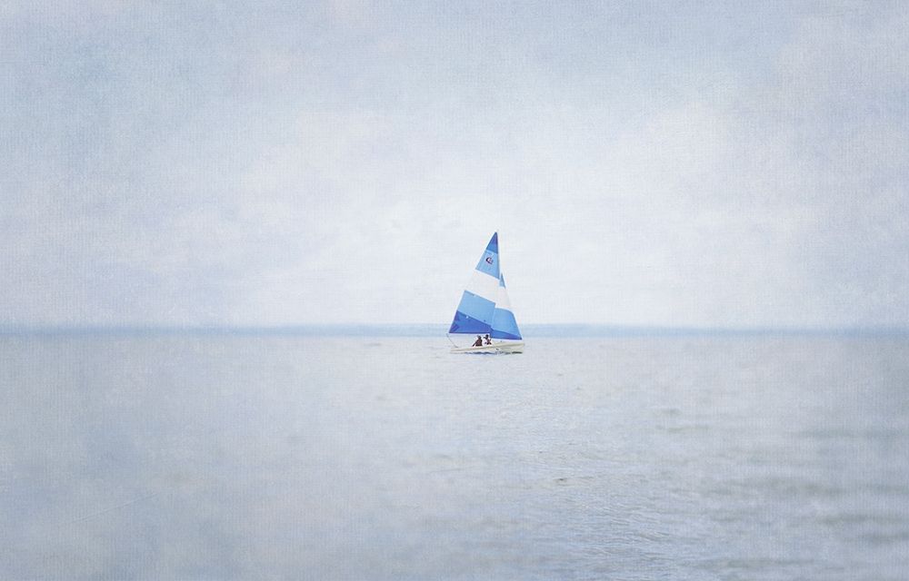 Misty Morning III art print by Elizabeth Urquhart for $57.95 CAD