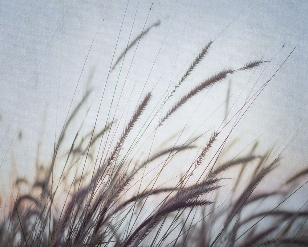 Misty Morning VI art print by Elizabeth Urquhart for $57.95 CAD