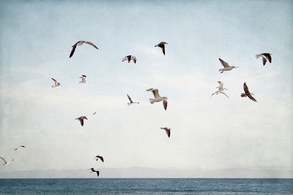 Soar I art print by Elizabeth Urquhart for $57.95 CAD