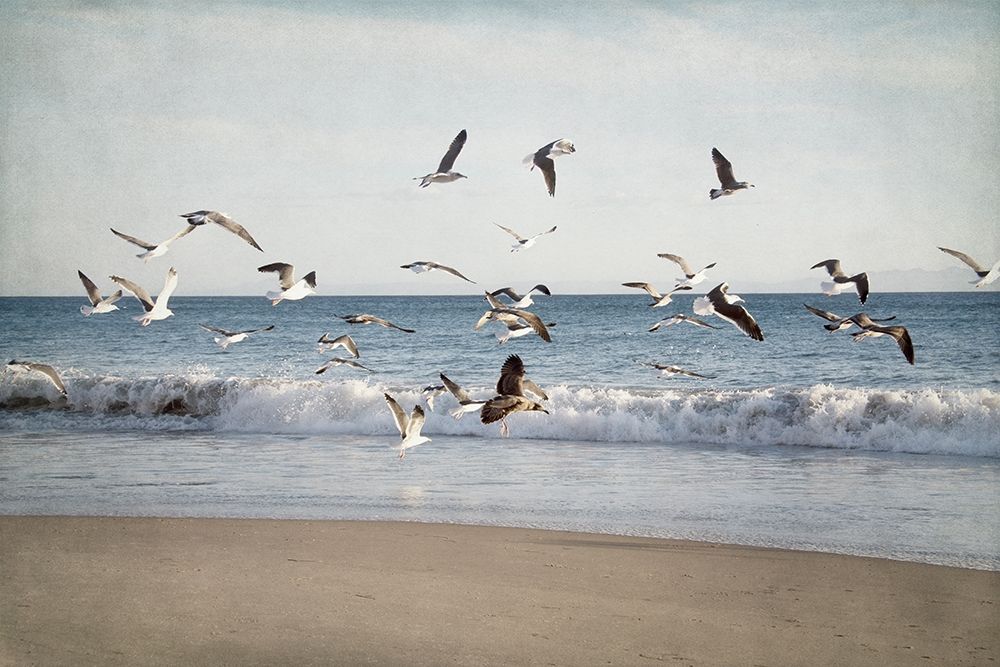 Soar II art print by Elizabeth Urquhart for $57.95 CAD
