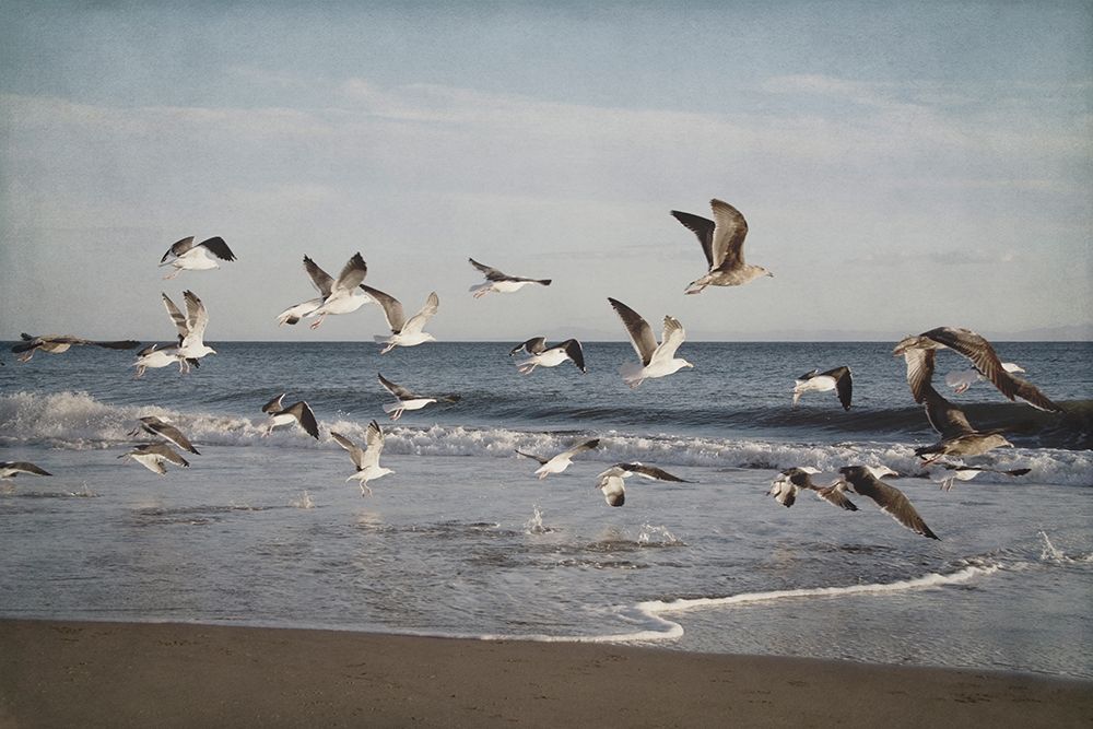 Soar IV art print by Elizabeth Urquhart for $57.95 CAD