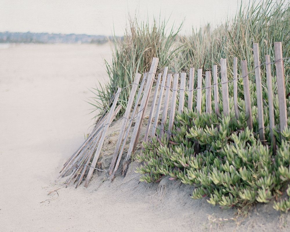 Steps To The Beach I art print by Elizabeth Urquhart for $57.95 CAD