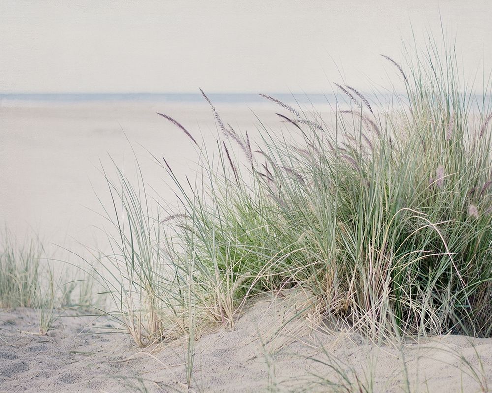 Steps To The Beach II art print by Elizabeth Urquhart for $57.95 CAD
