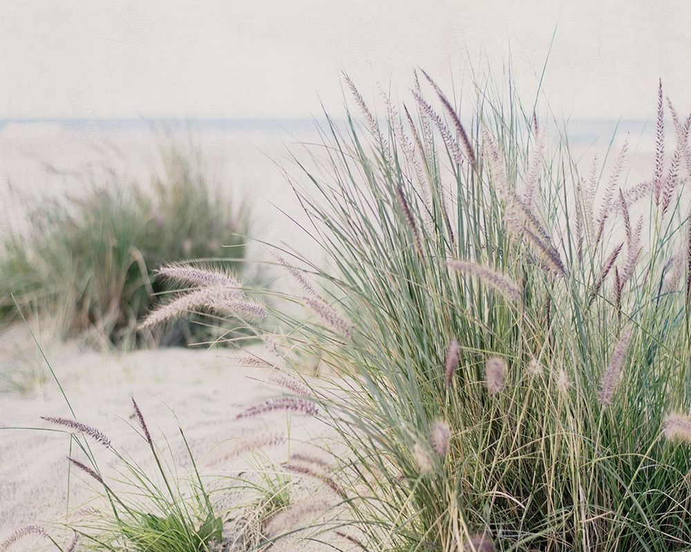 Steps To The Beach III art print by Elizabeth Urquhart for $57.95 CAD