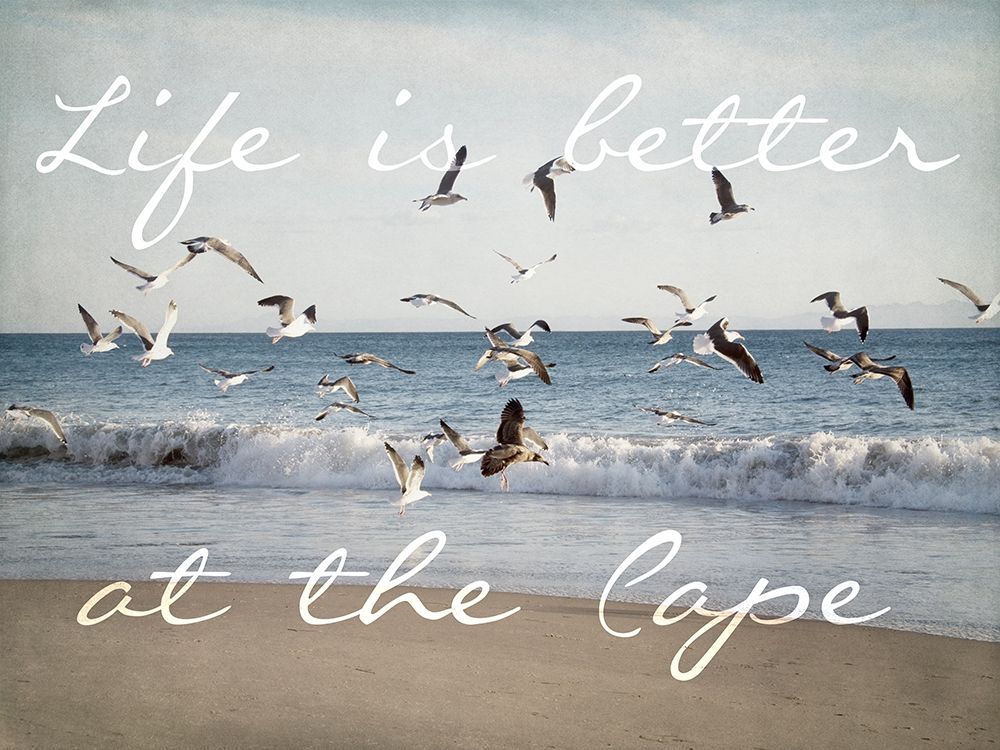 Cape Life art print by Elizabeth Urquhart for $57.95 CAD