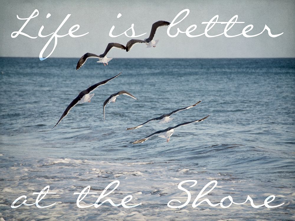 Shore Life art print by Elizabeth Urquhart for $57.95 CAD