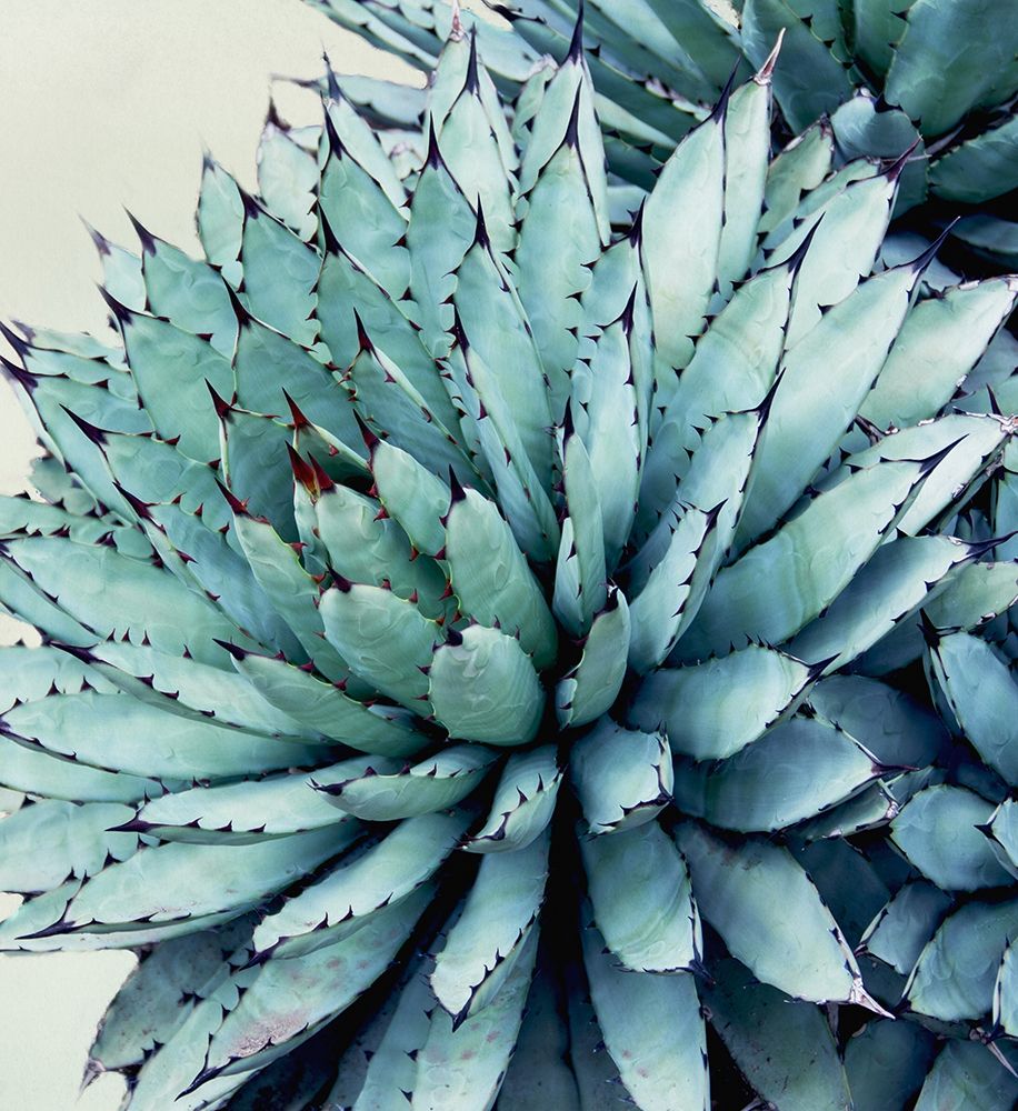 Crushing Green II art print by Elizabeth Urquhart for $57.95 CAD