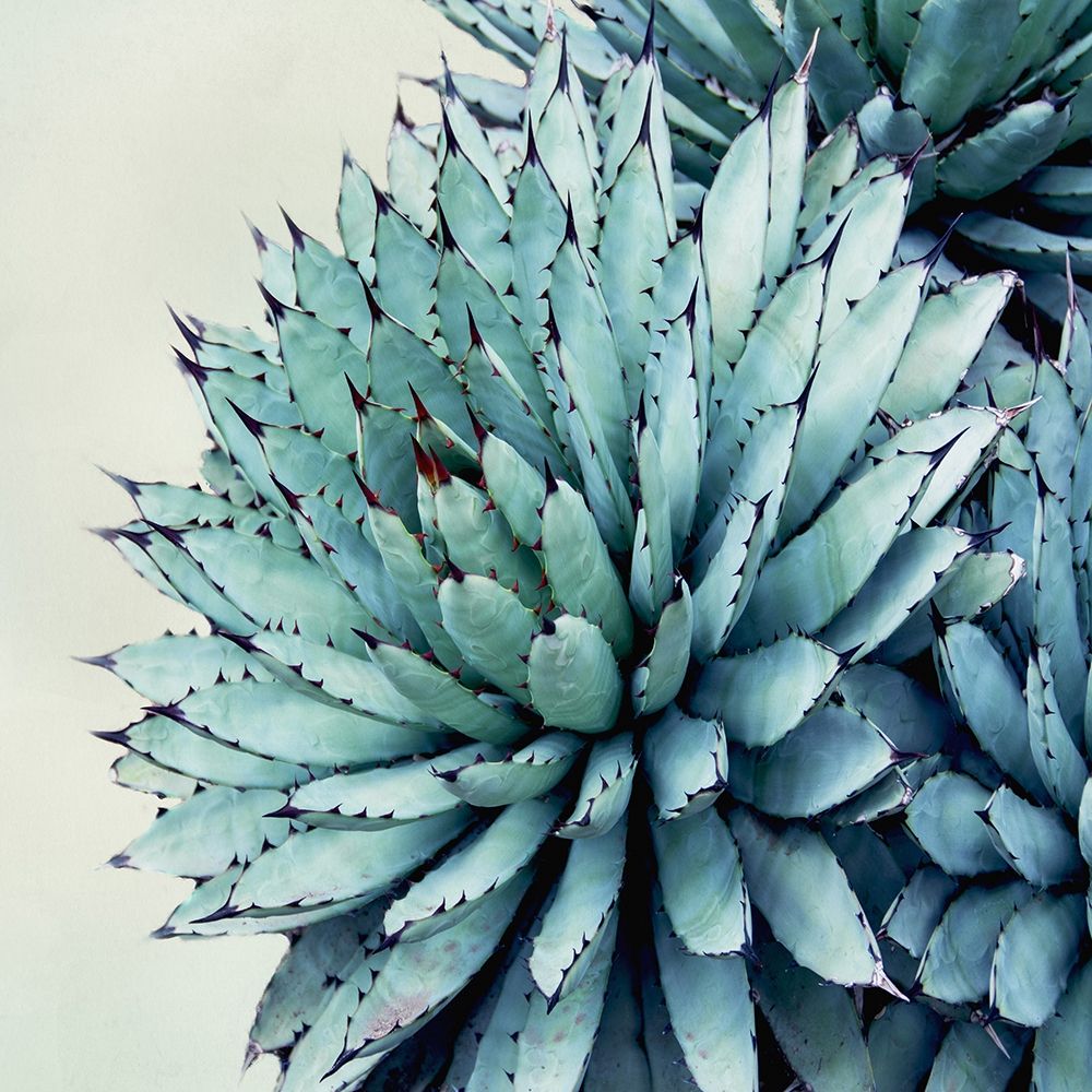 Green Crush IX art print by Elizabeth Urquhart for $57.95 CAD