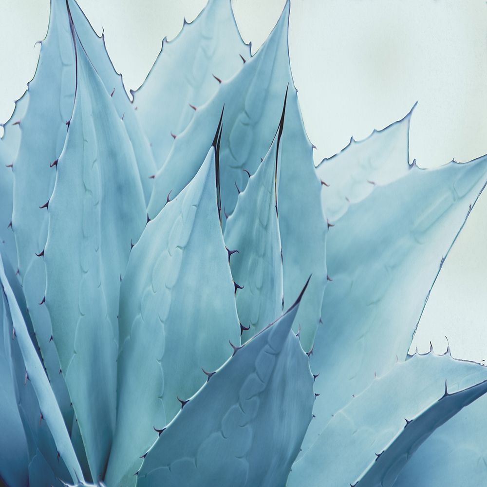 Green Crush V art print by Elizabeth Urquhart for $57.95 CAD
