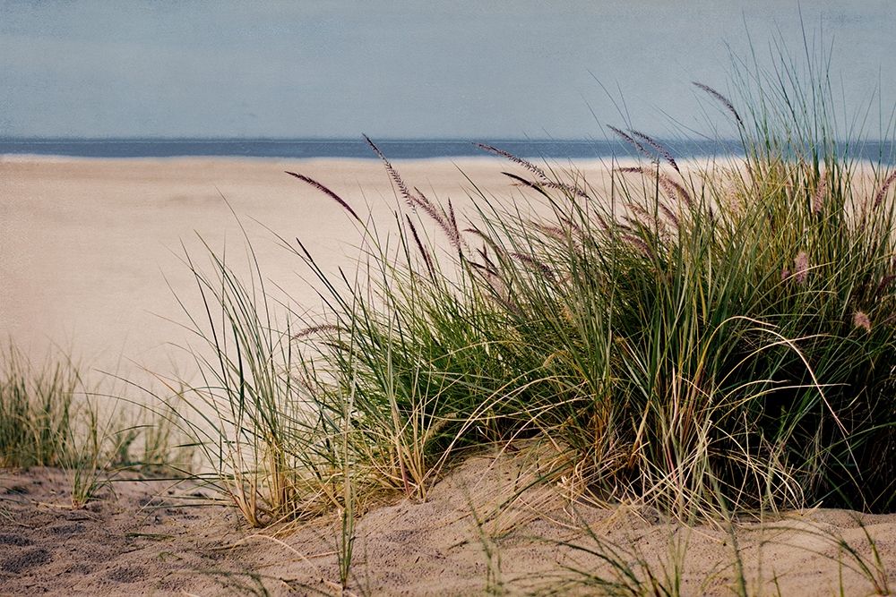 To The Beach II art print by Elizabeth Urquhart for $57.95 CAD