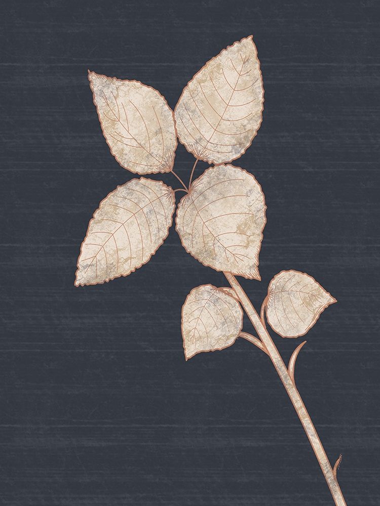Flower 2 art print by Lauren Gibbons for $57.95 CAD