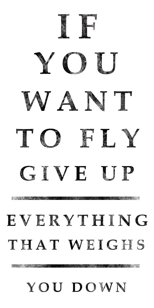 Industrial Fly art print by Lauren Gibbons for $57.95 CAD