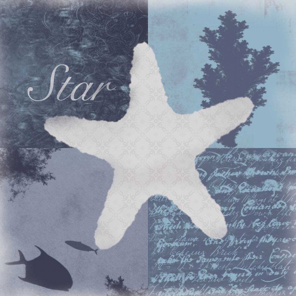 Beach Star art print by Lauren Gibbons for $57.95 CAD