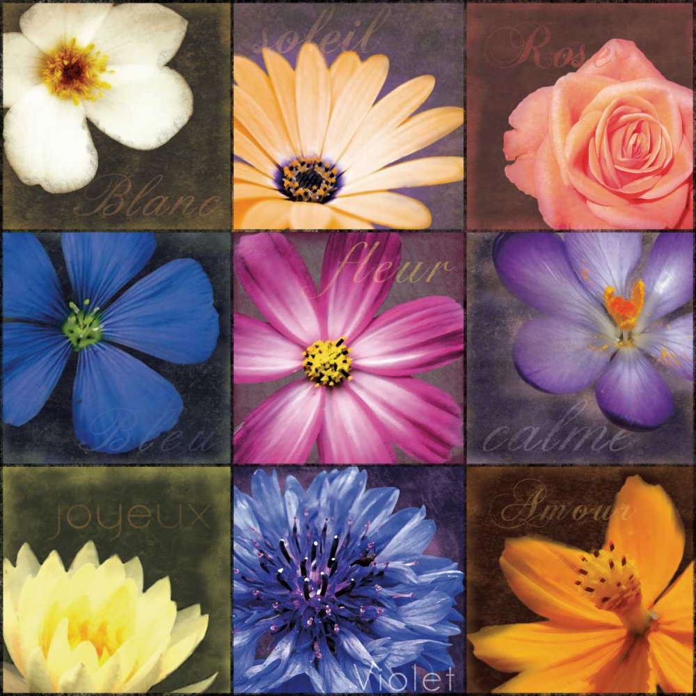 Flower Patch art print by Lauren Gibbons for $57.95 CAD