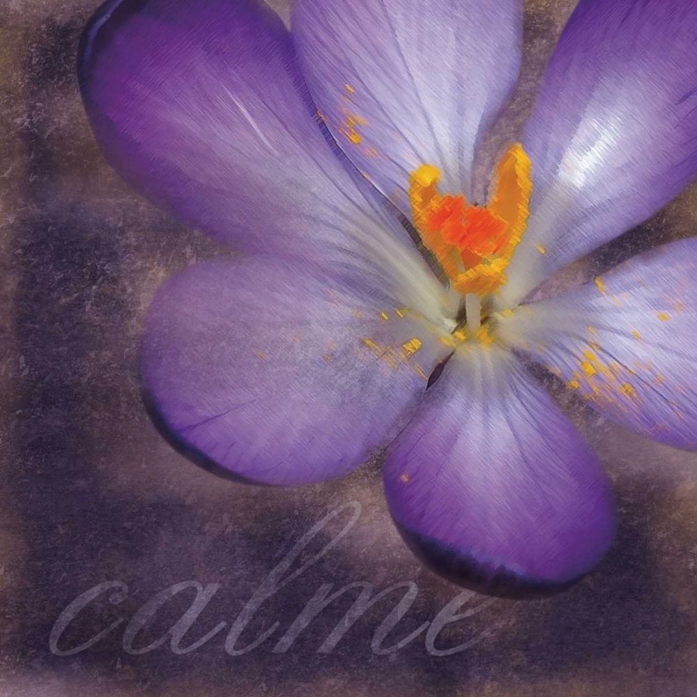 Calm Flower art print by Lauren Gibbons for $57.95 CAD