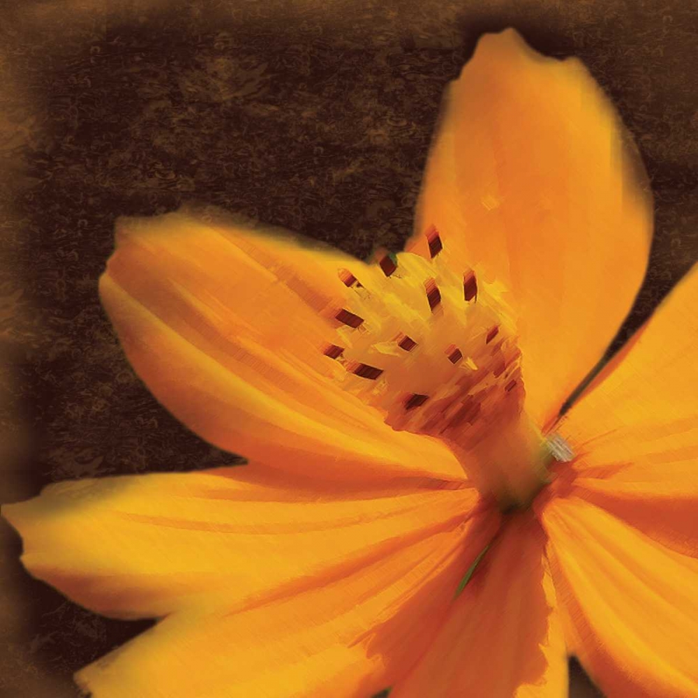 Just The Flower art print by Lauren Gibbons for $57.95 CAD
