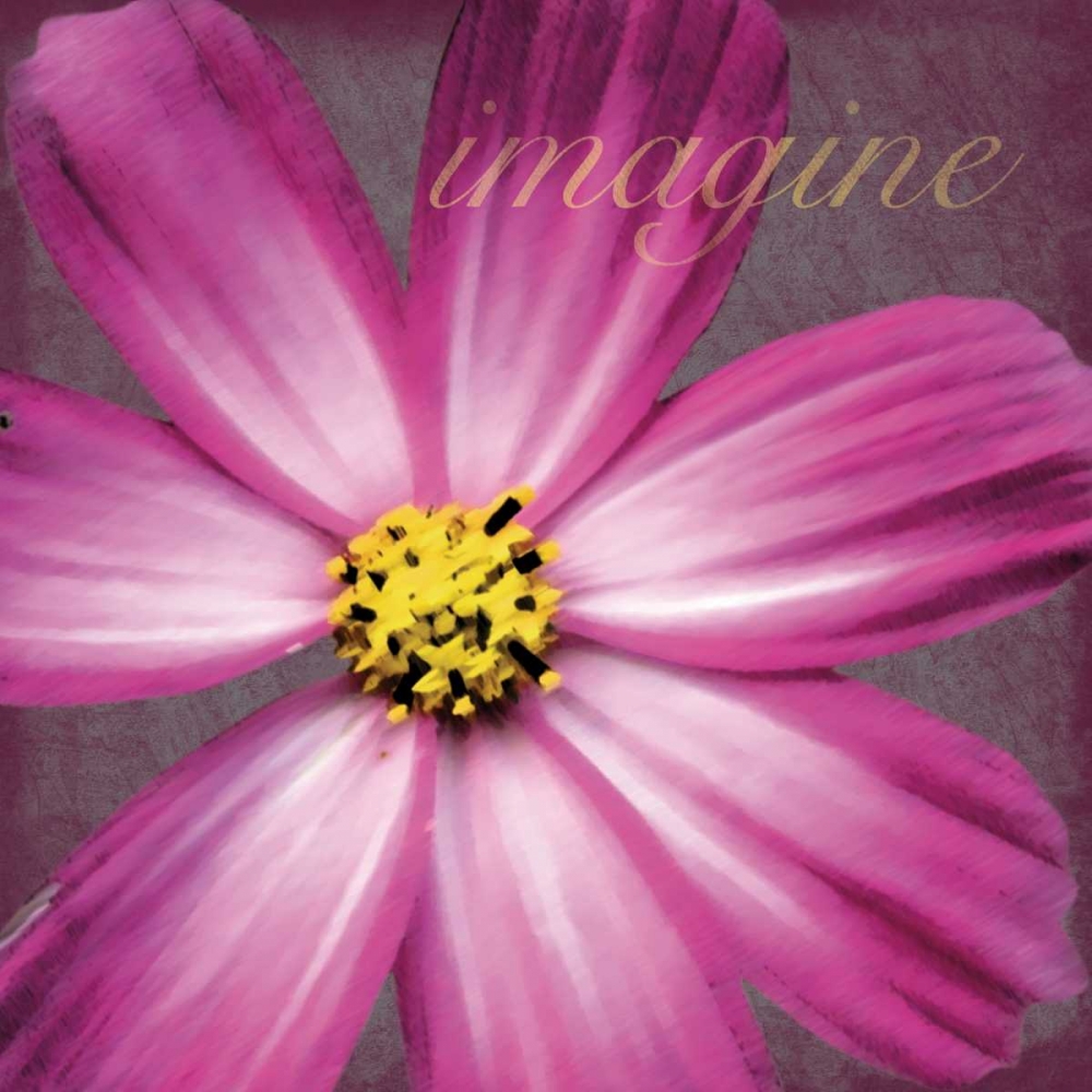 Imagine Flower art print by Lauren Gibbons for $57.95 CAD