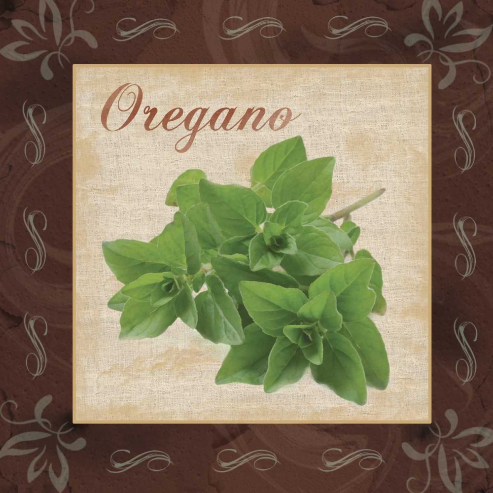Oregano art print by Lauren Gibbons for $57.95 CAD