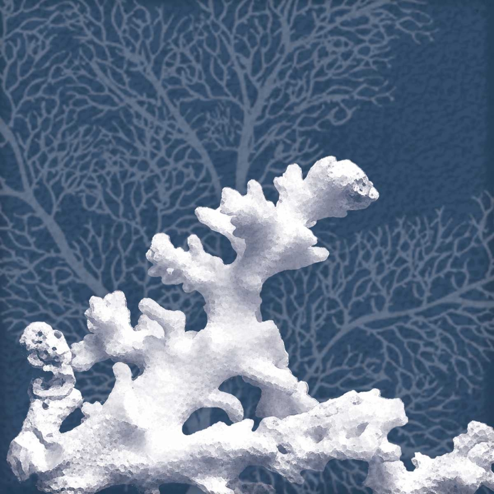 Sea Coral 1 art print by Lauren Gibbons for $57.95 CAD