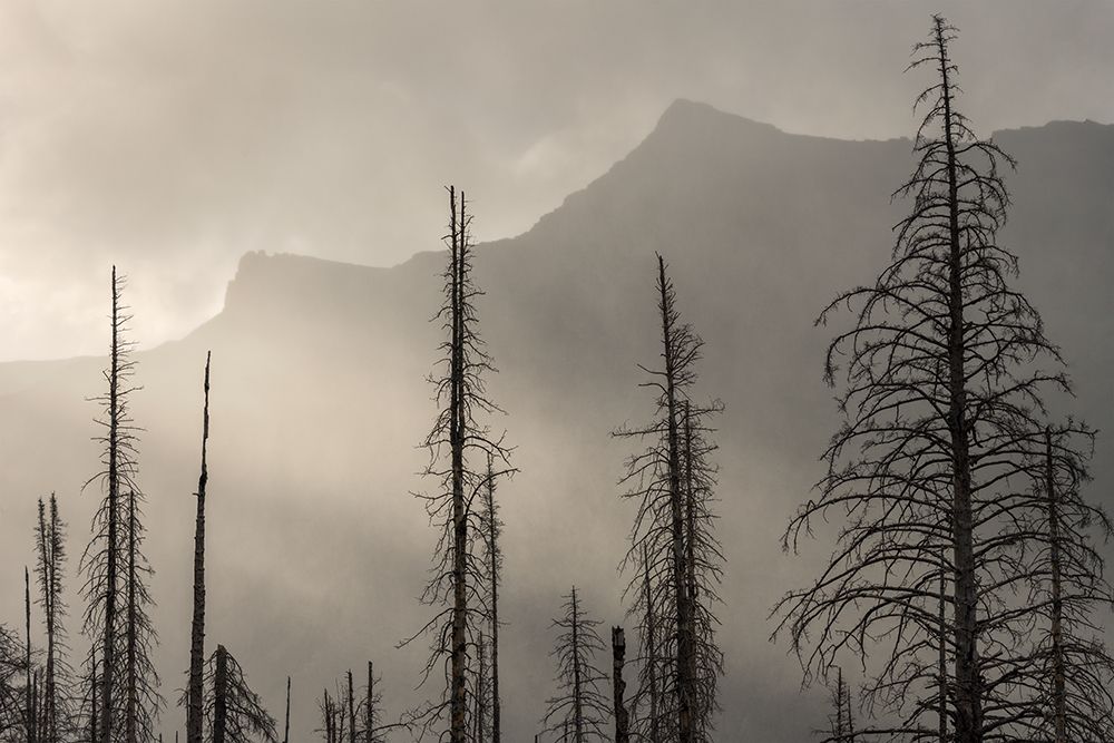 Falling Sky art print by Hunter Page for $57.95 CAD