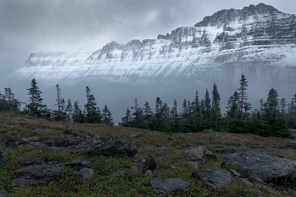 First Snow art print by Hunter Page for $57.95 CAD