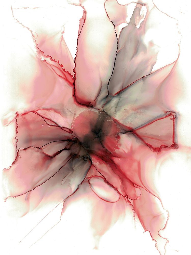 Crimson Echo Alcohol Ink Flower art print by Julia Frost for $57.95 CAD