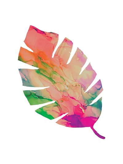Botanical prints and posters