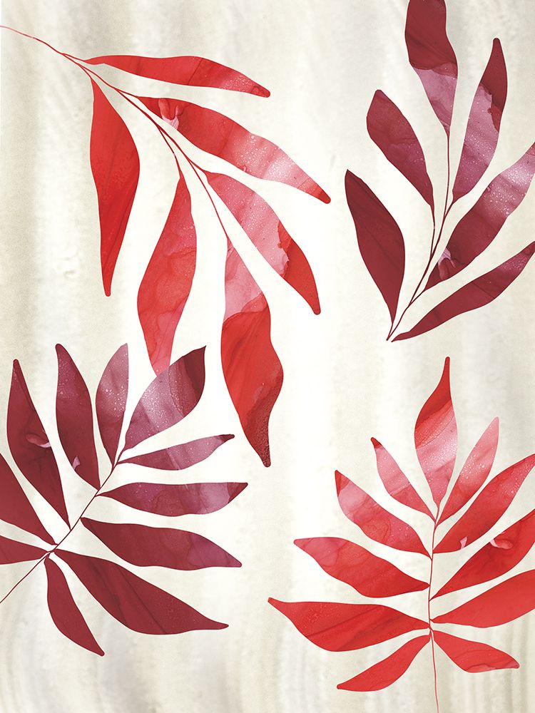 Coral Cascade 2 art print by Julia Frost for $57.95 CAD