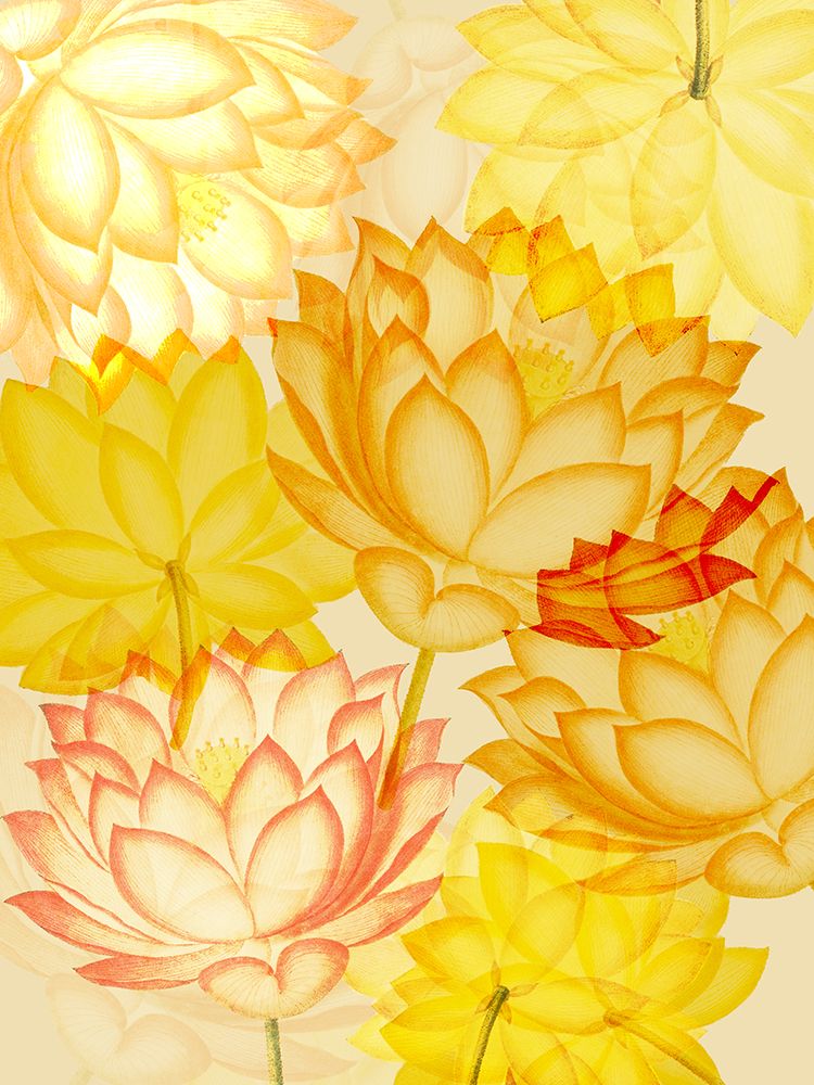 Sunshine Flowers 1 art print by Julia Frost for $57.95 CAD