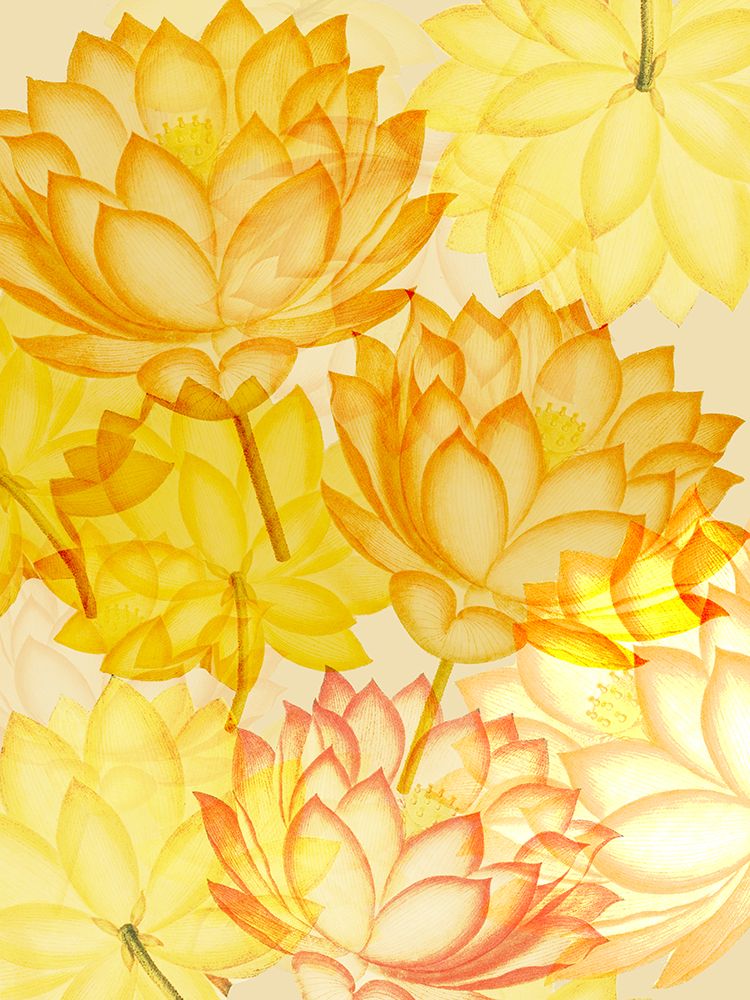 Sunshine Flowers 2 art print by Julia Frost for $57.95 CAD